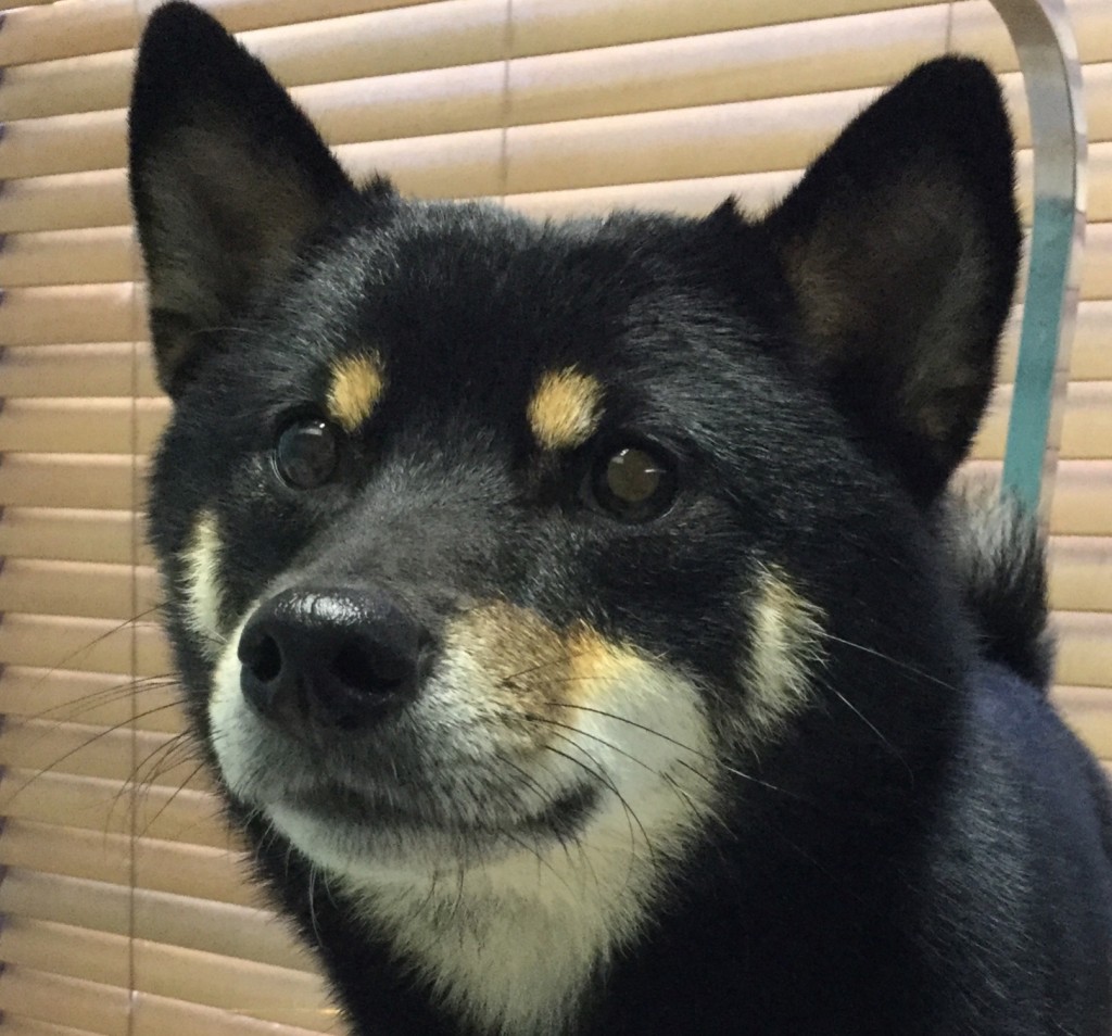 78F66331-74DA-448A-85DA-B39549C87471