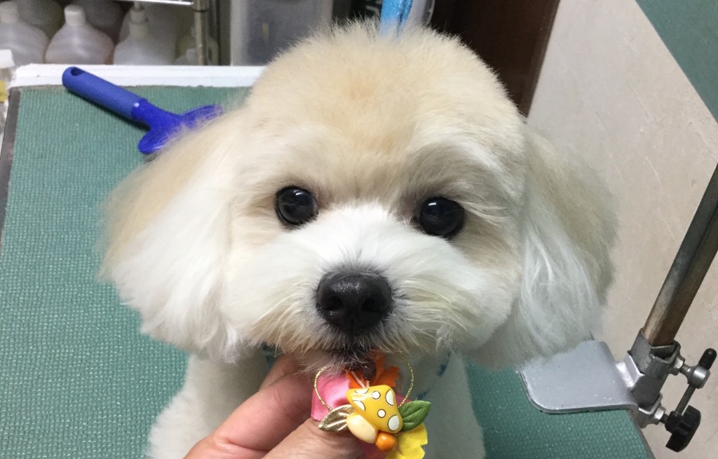 7CB40BB7-192B-4870-AD0A-52D2060FCAC3