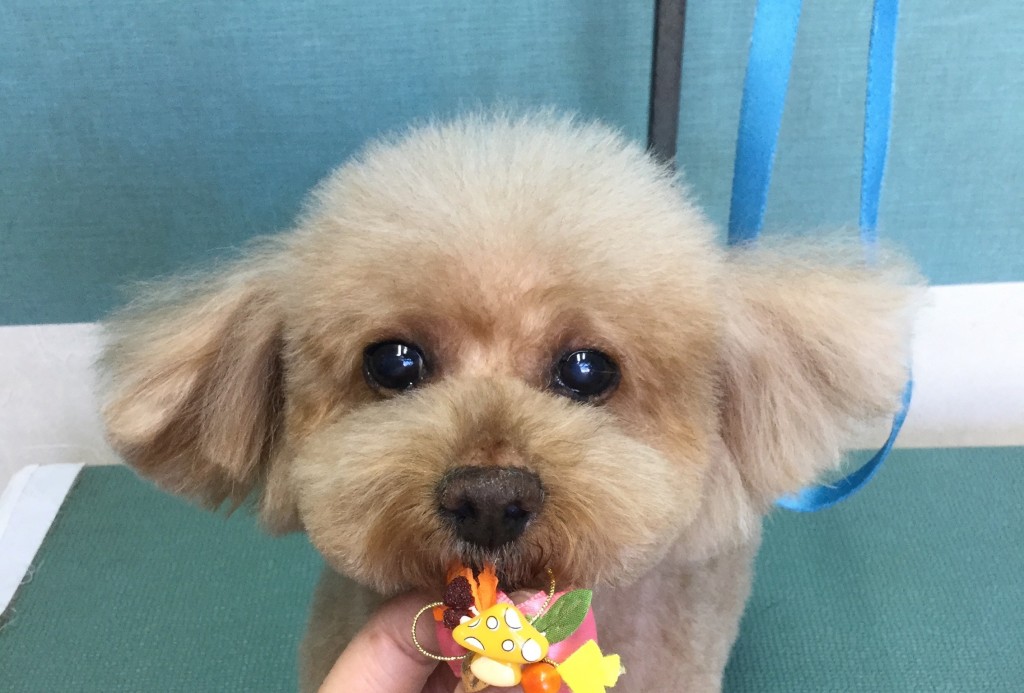 7F59EAF5-F905-479A-BF3C-AE08E3F55804