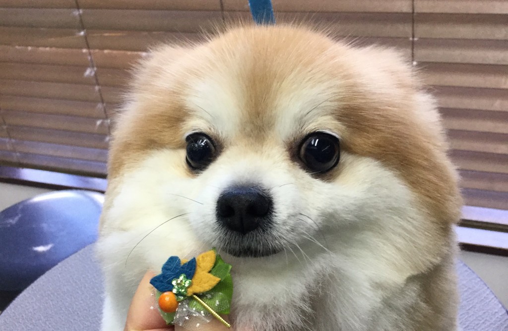 82F99D62-E123-4144-BAB2-ED4EE96899A7