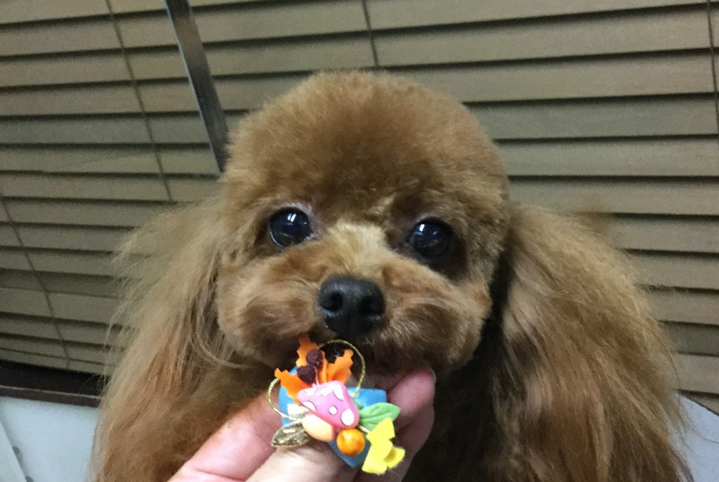 889156E0-322D-4019-890D-0731DC5AB6B2