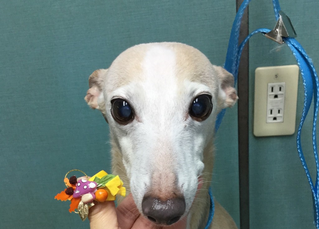 89E62EDF-FB22-45B4-9F61-AEF6AC9492A2