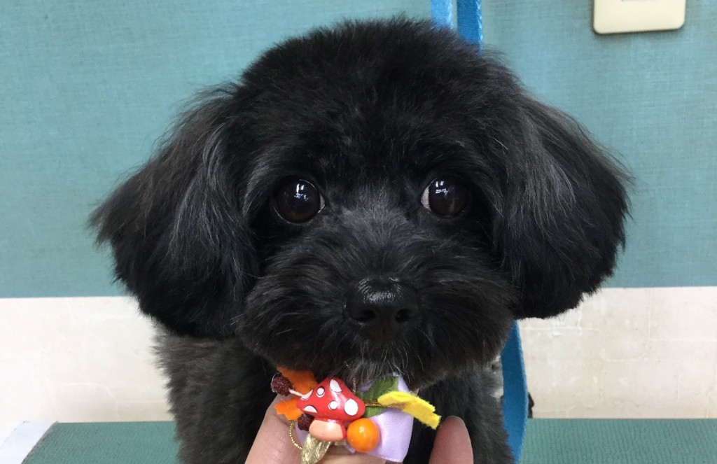 8EC9CCC2-69FF-402F-AC88-22C41D72DA42