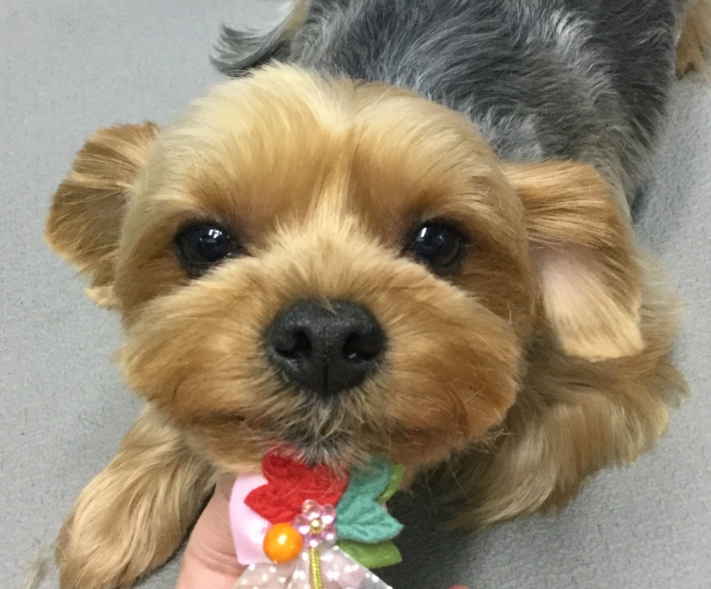 90197045-D9EF-4B24-921A-A74BD89C568D