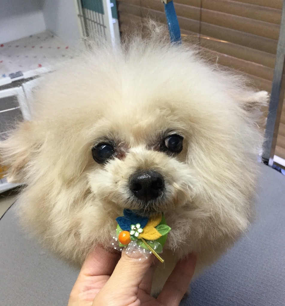 90A82284-CCAE-4729-AE92-C7B7E9217974