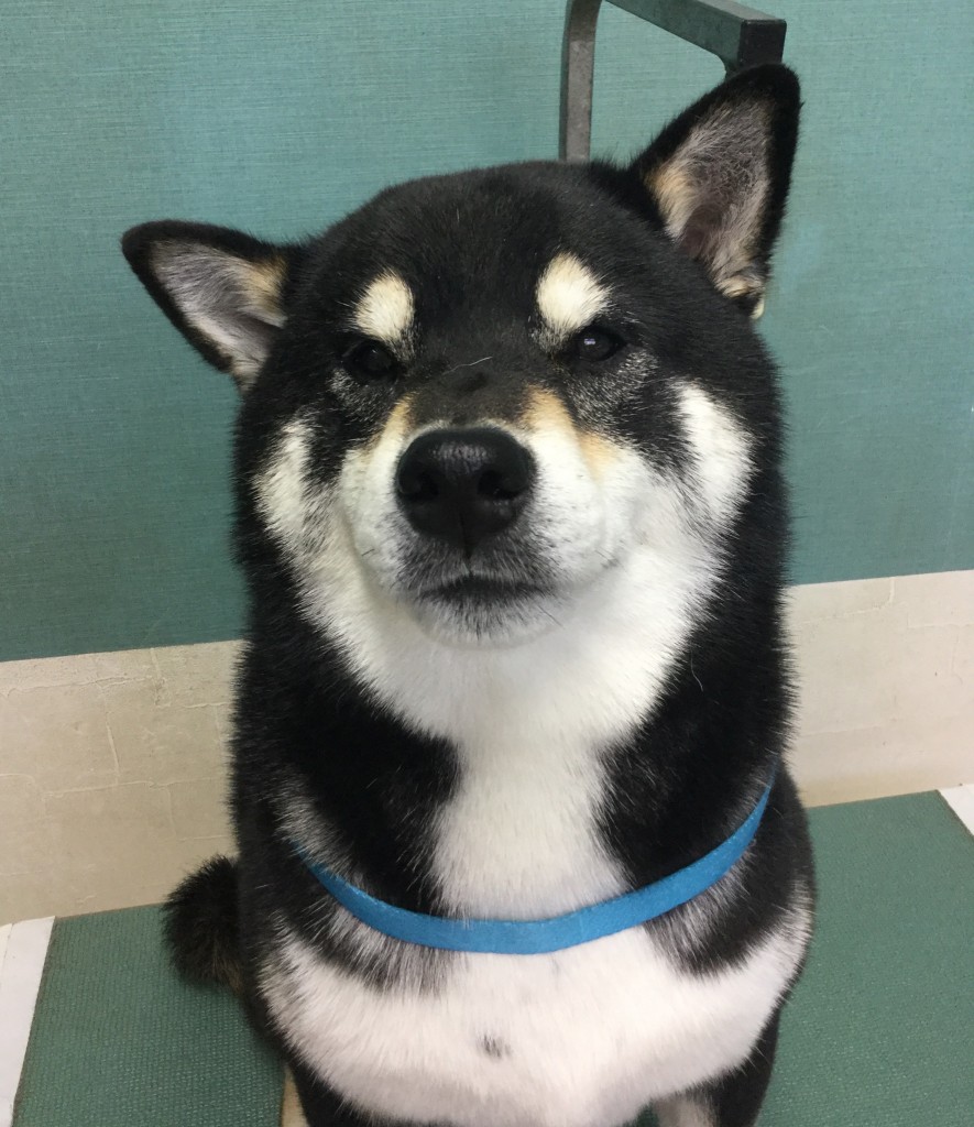 950FC751-E903-4D52-8A33-ECF67B9EA024