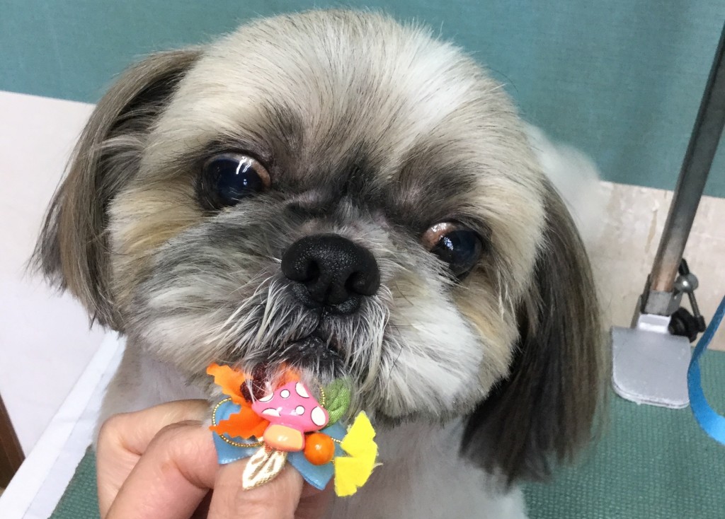 9732901E-7DBC-495E-8DFD-9A872978447D