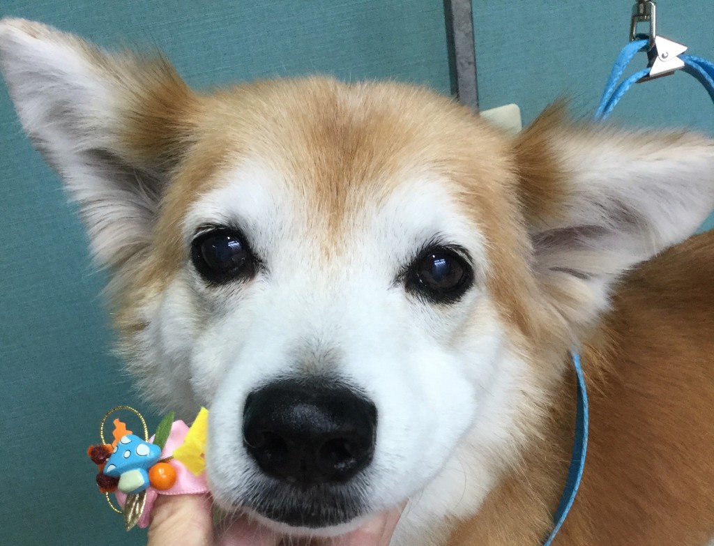 97789DA8-FD95-4527-95D9-9E6A7A21CBE7