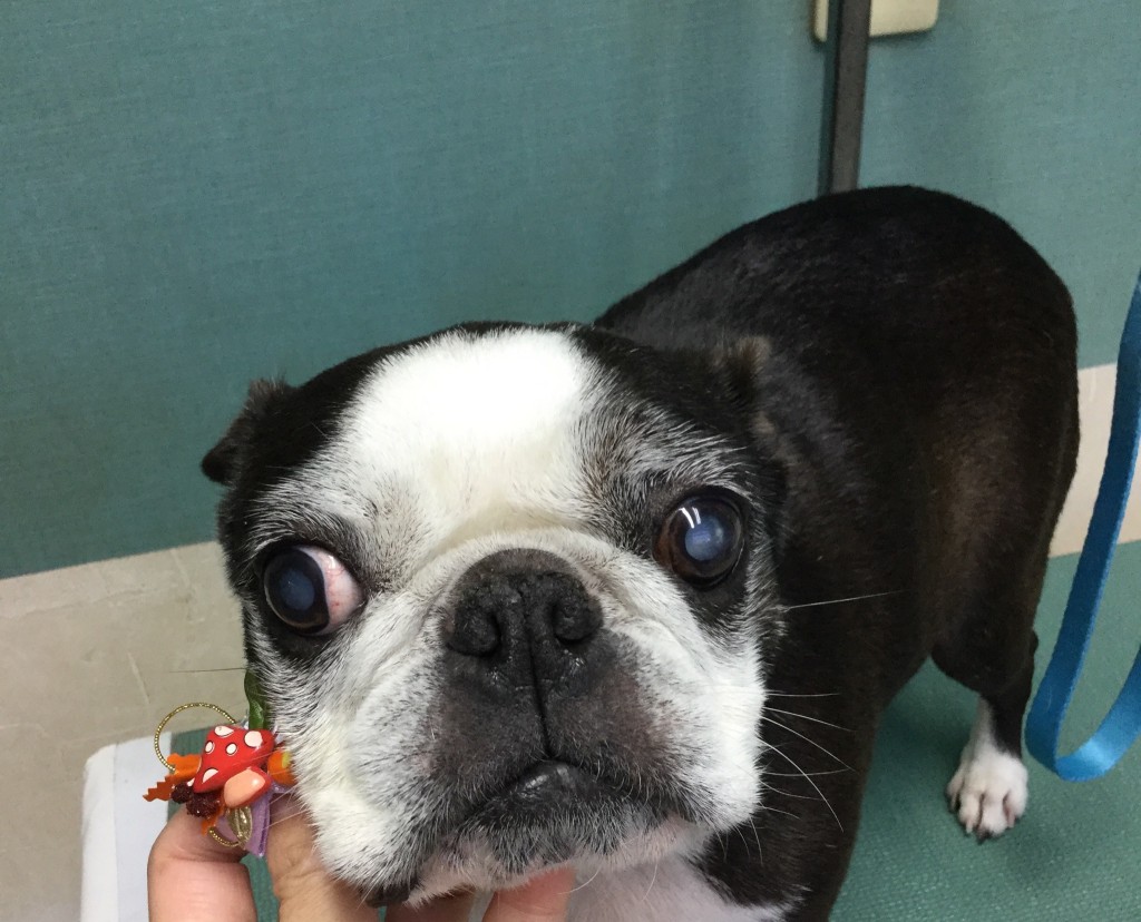 9B781A61-093B-4CFE-A99F-345DD1F4FEDA