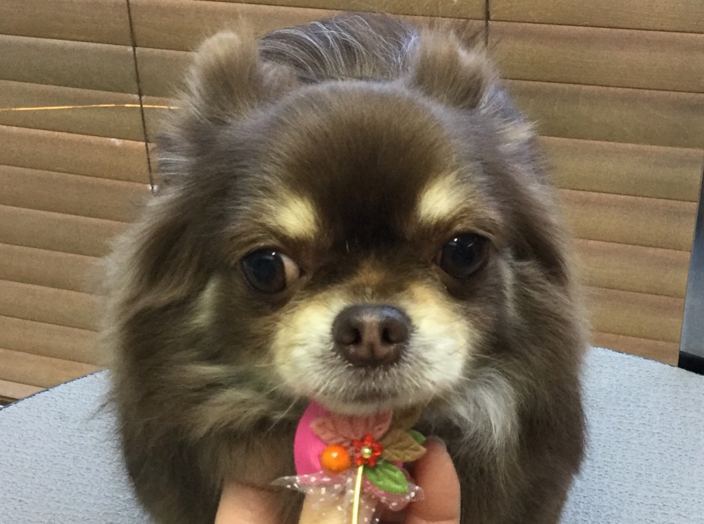 9C672886-FBD0-4563-8553-6F73D93F2F9D