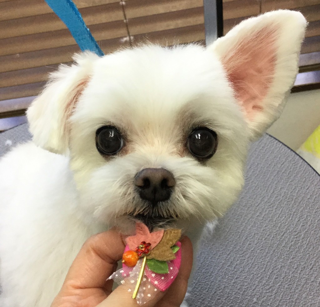 A071222F-621C-41B6-98E0-4D6BAAE0E60D