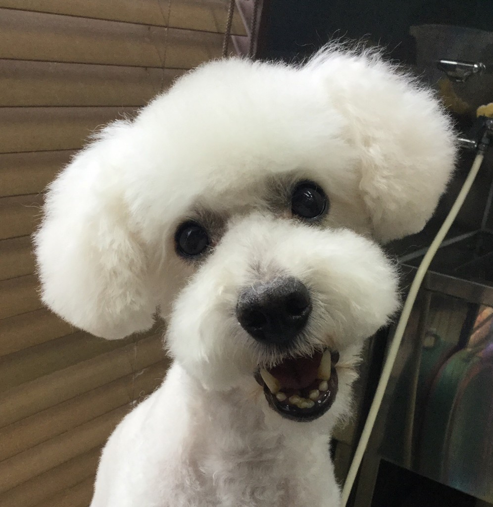 A14BB93A-B07A-40A3-BF62-67702BFEC38B