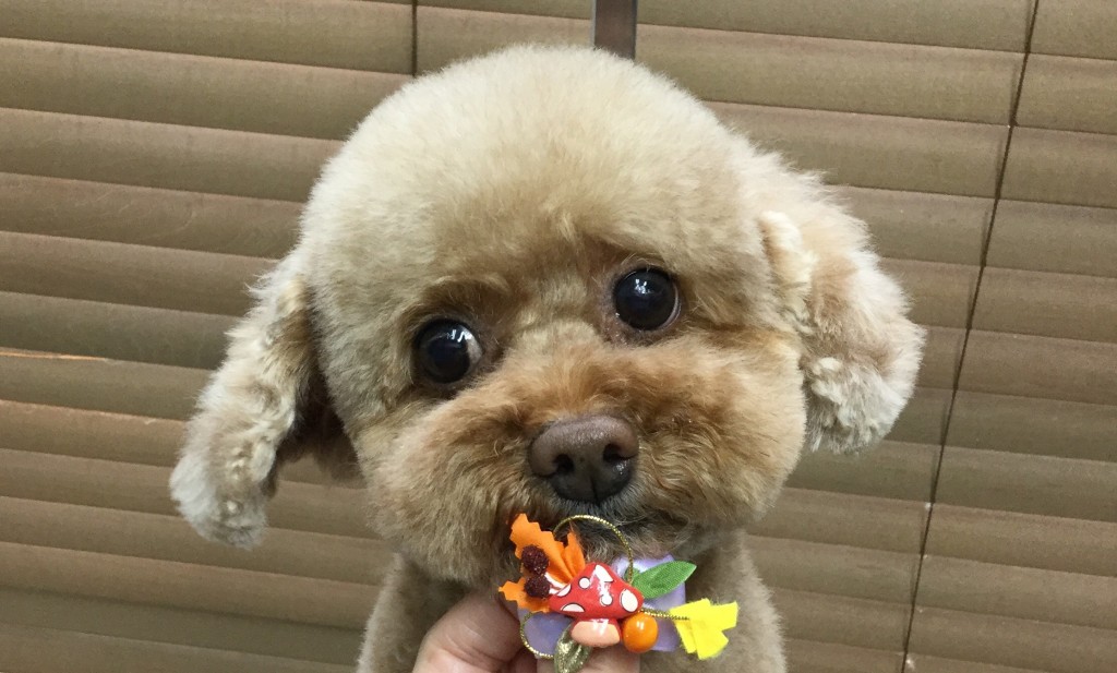 A1C1C6EA-75E6-425C-8091-DB5889DC4AF3