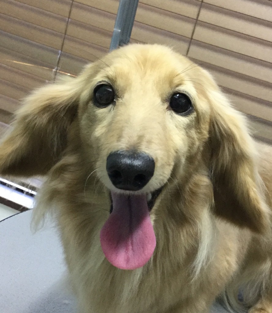 A1D30750-5248-41E1-AA85-12E4F1EA7D56