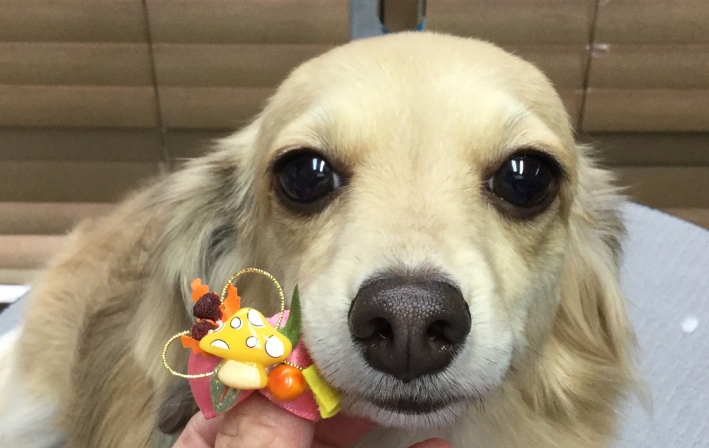 A1F61F0C-8817-4532-8F16-F05E922B5B8B