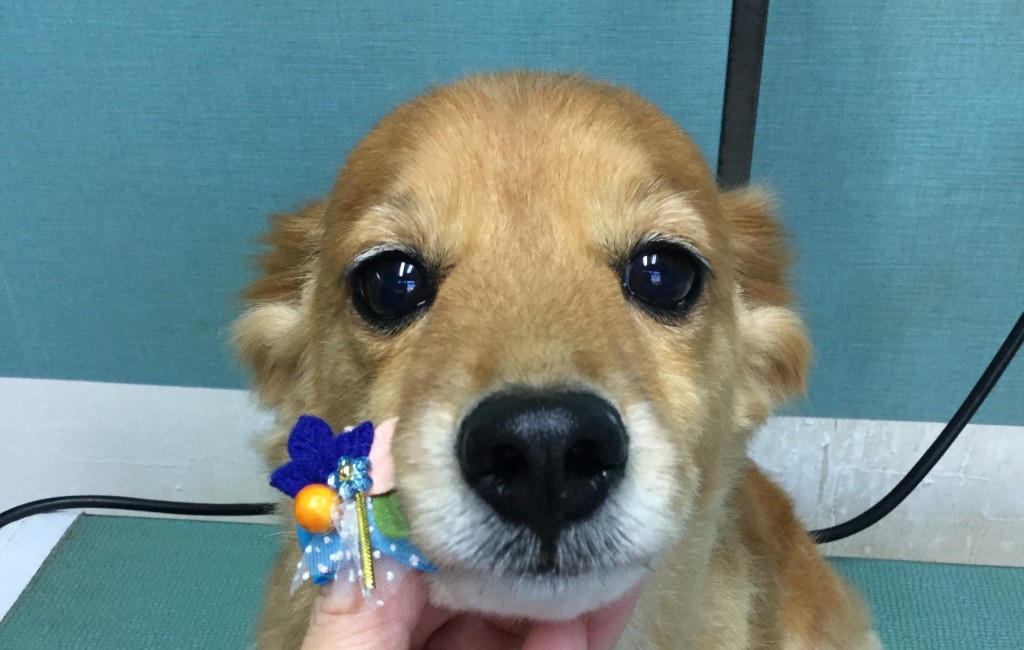 A4F765F1-4F1B-4575-AA90-876CE3E00164