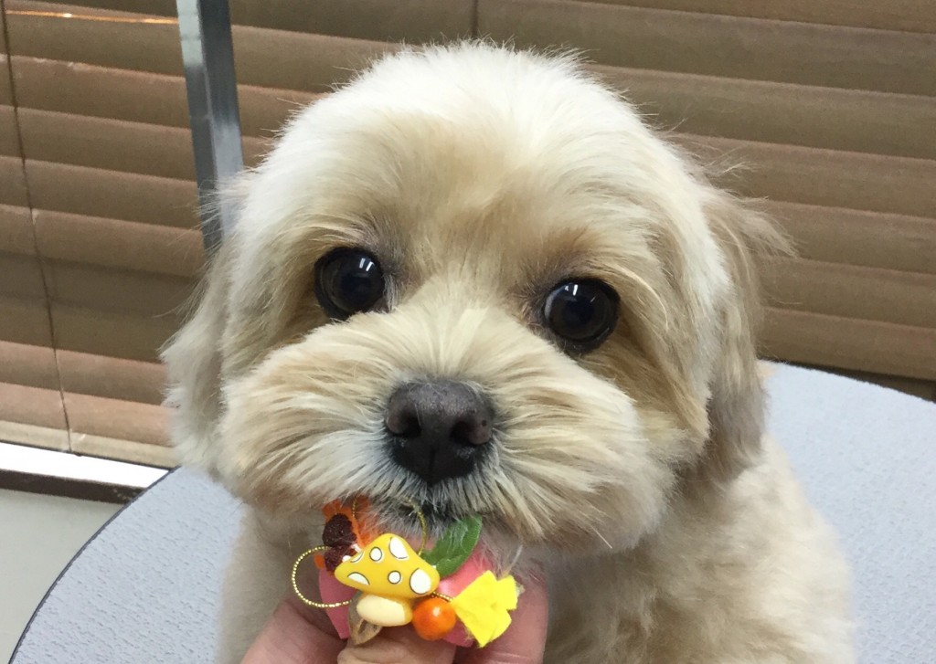 A564BD57-15B5-4B21-976B-2338B76AF153