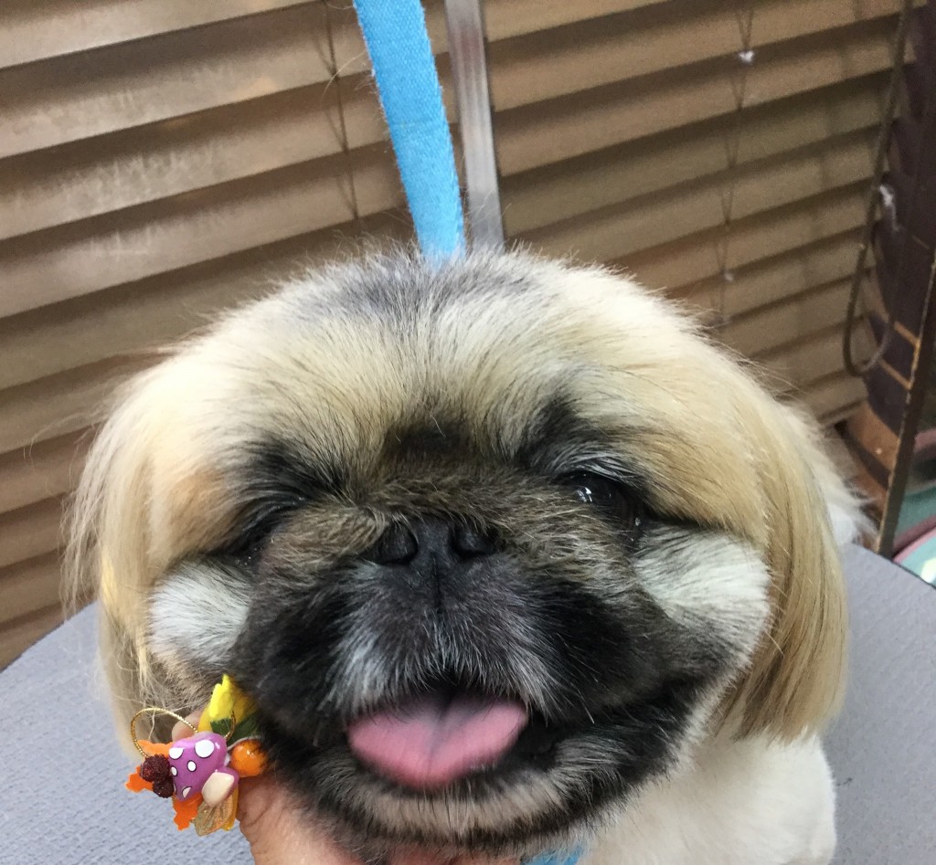 A8E2108A-363A-41E2-9E9A-74B5164F24A4