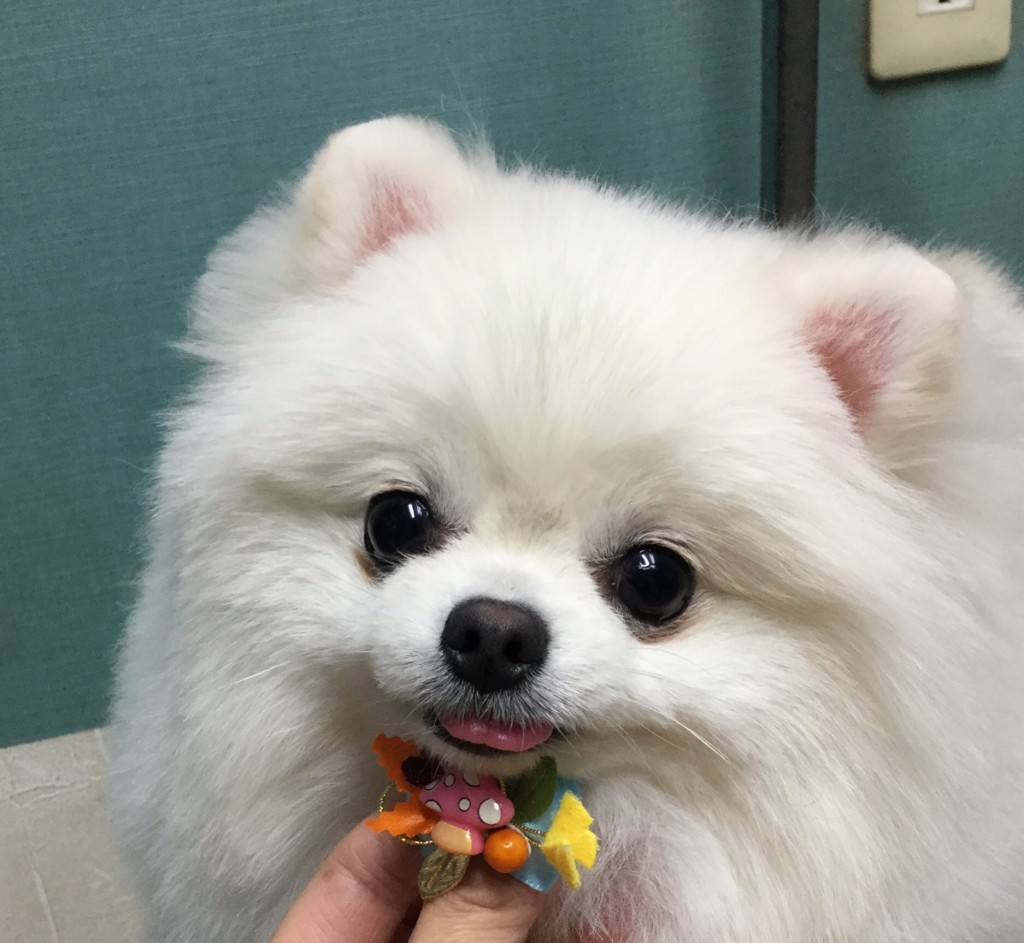 ADFC6A56-ECCB-4955-A304-99980D7B5840