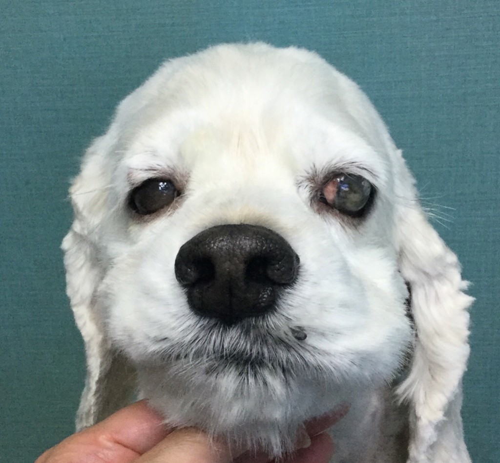 BA23F37E-5513-462C-8410-BE814FEBD138