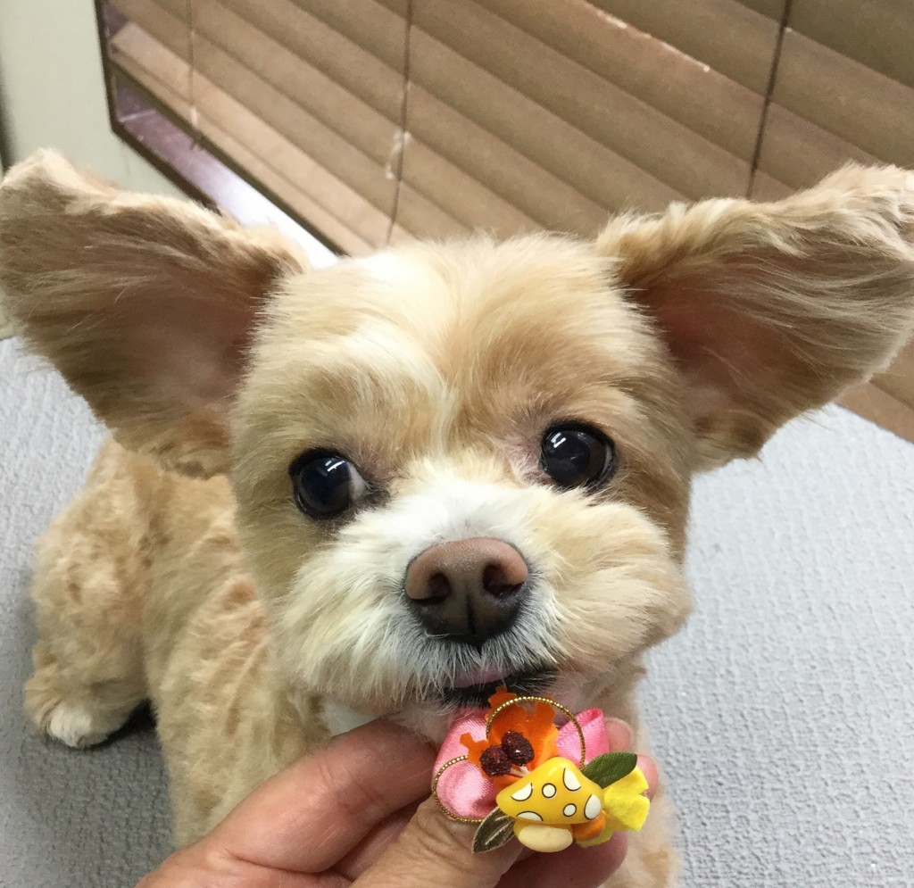 BAE8B1BF-E31D-4939-A4C2-0AB2CC61D915