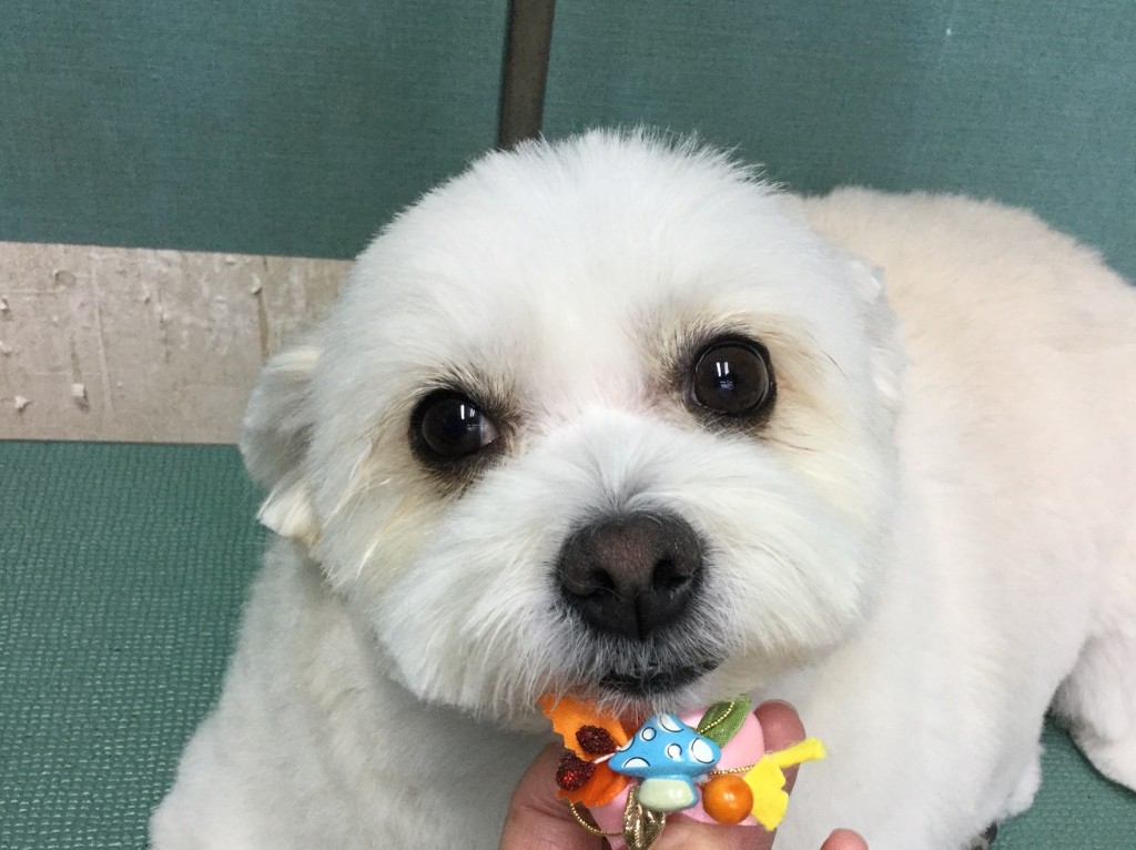 BD130FBB-3080-4FD4-BCE5-0927FD88BAB4