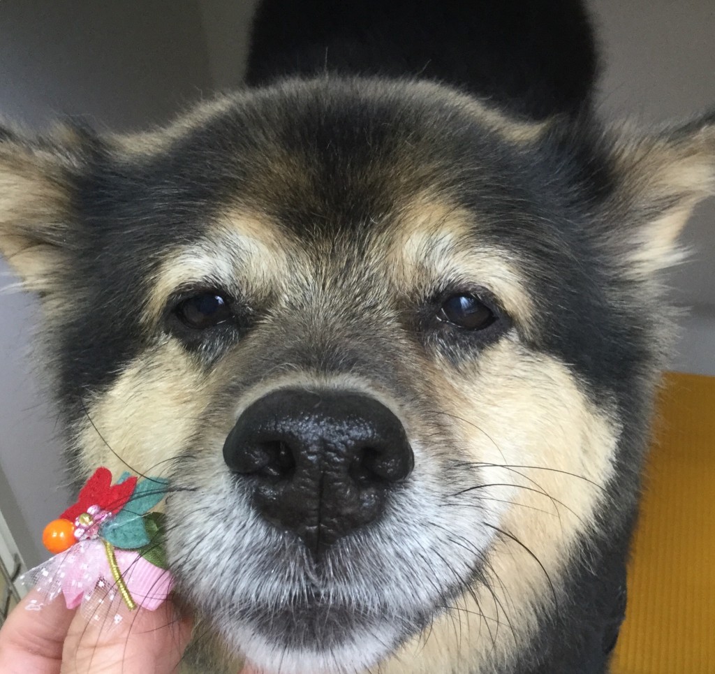 BD8484FB-8BFF-4519-8BAE-634D32FE5874