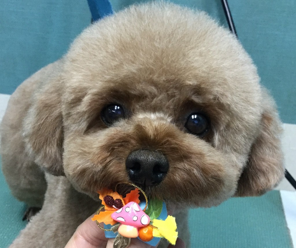 BF430D61-74BF-4A28-B883-E715F441FCCA