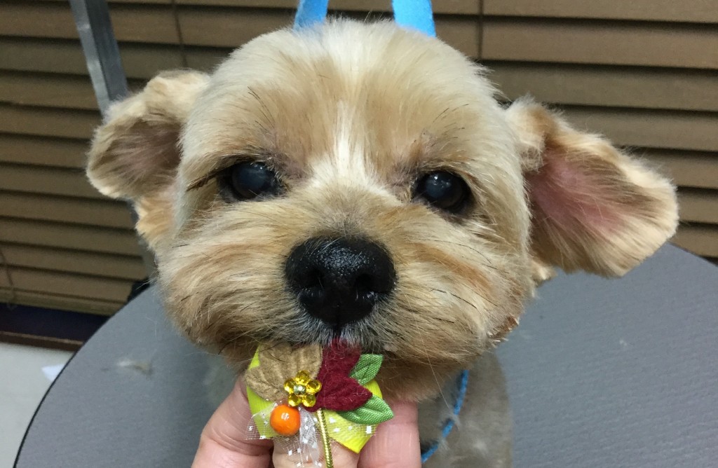 C1F195FF-BB39-492D-821A-12A97F8D1C53