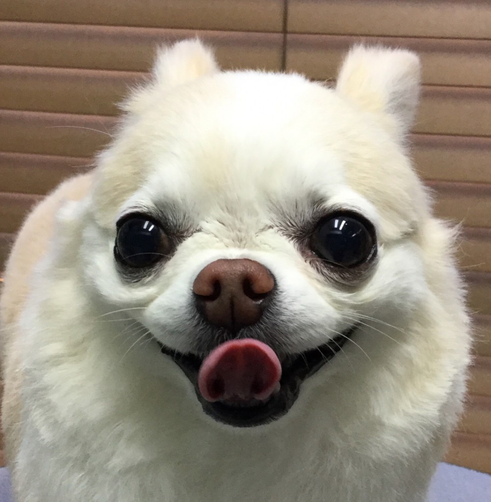 C7B4AFAF-9705-41EE-9445-3A90B7248C28