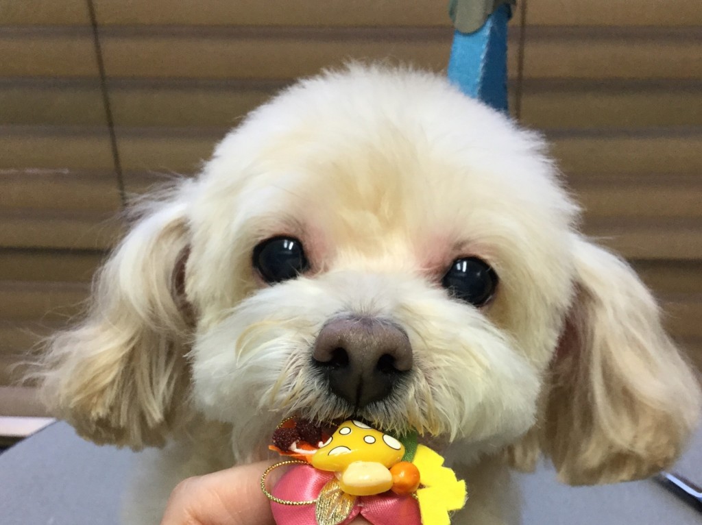 C7CF738D-C730-4EC2-A559-00A556758DBF