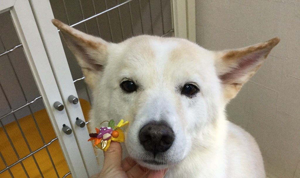 C911CF87-BC33-44CB-B3A5-2EDCBD56977F