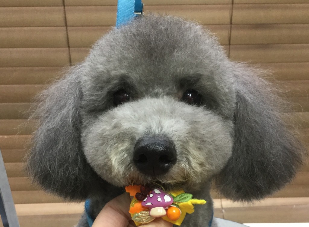 CB42CAE5-E963-47AC-8C65-3B720533AC10