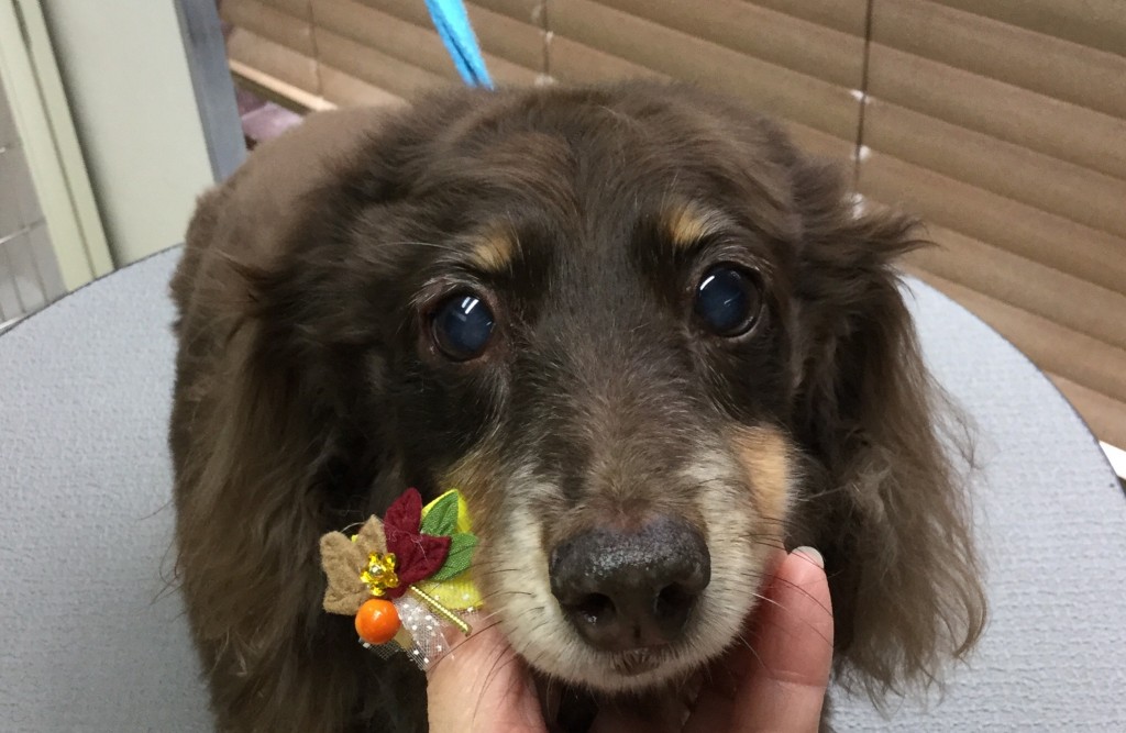 CD9DE1F6-FBE5-4A87-8D94-AD0A674C80B9