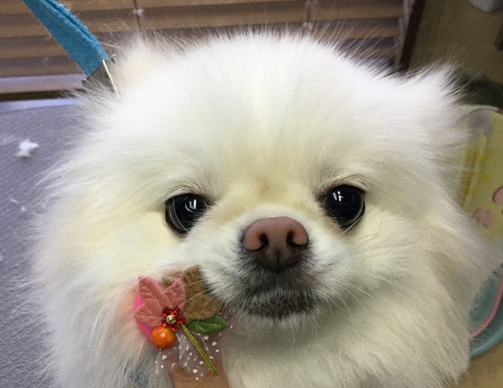 CFF09533-CB15-4016-A2A8-90951A7A1C78