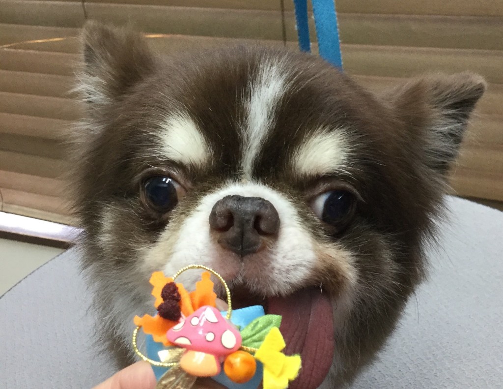 D47B9B93-E847-4498-B7D5-92DC77D6AD67