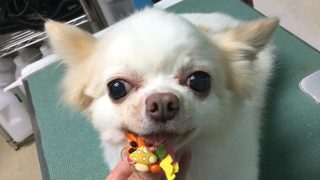 D4E0CE0C-8C74-4EEE-A765-7CEB679D8AD8