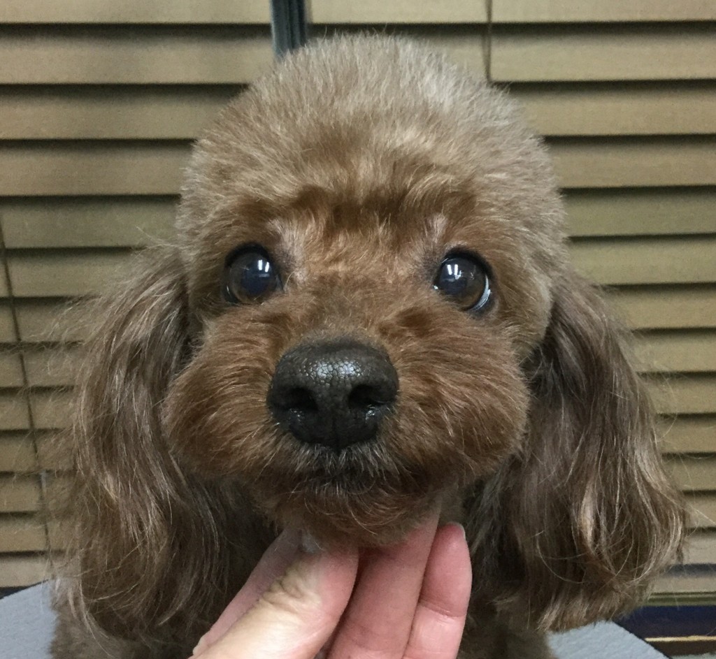 DE23A8E5-F625-4A30-9353-0F7B881D1955