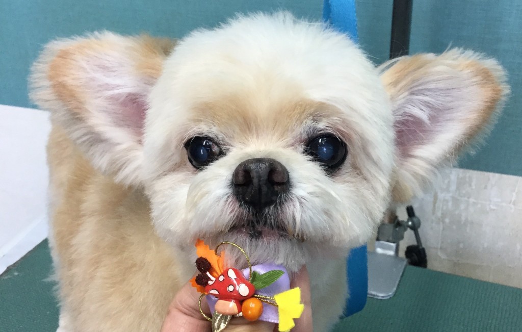 E021BCEA-4BAD-494F-BA86-884C2227F7B6