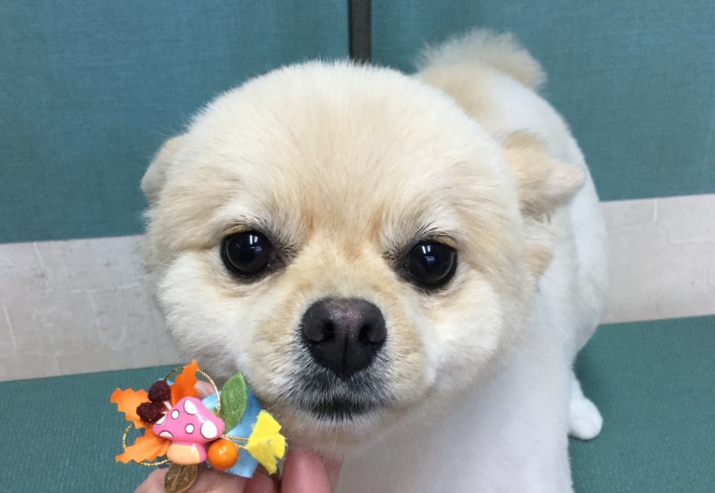 E13A7019-FBB1-4A8C-A22E-315512CC143F