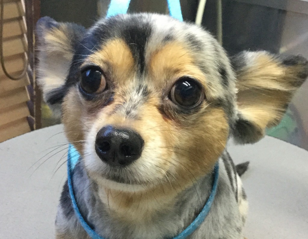 E1D48156-AE5E-49BA-BC2A-303D5C25AA14