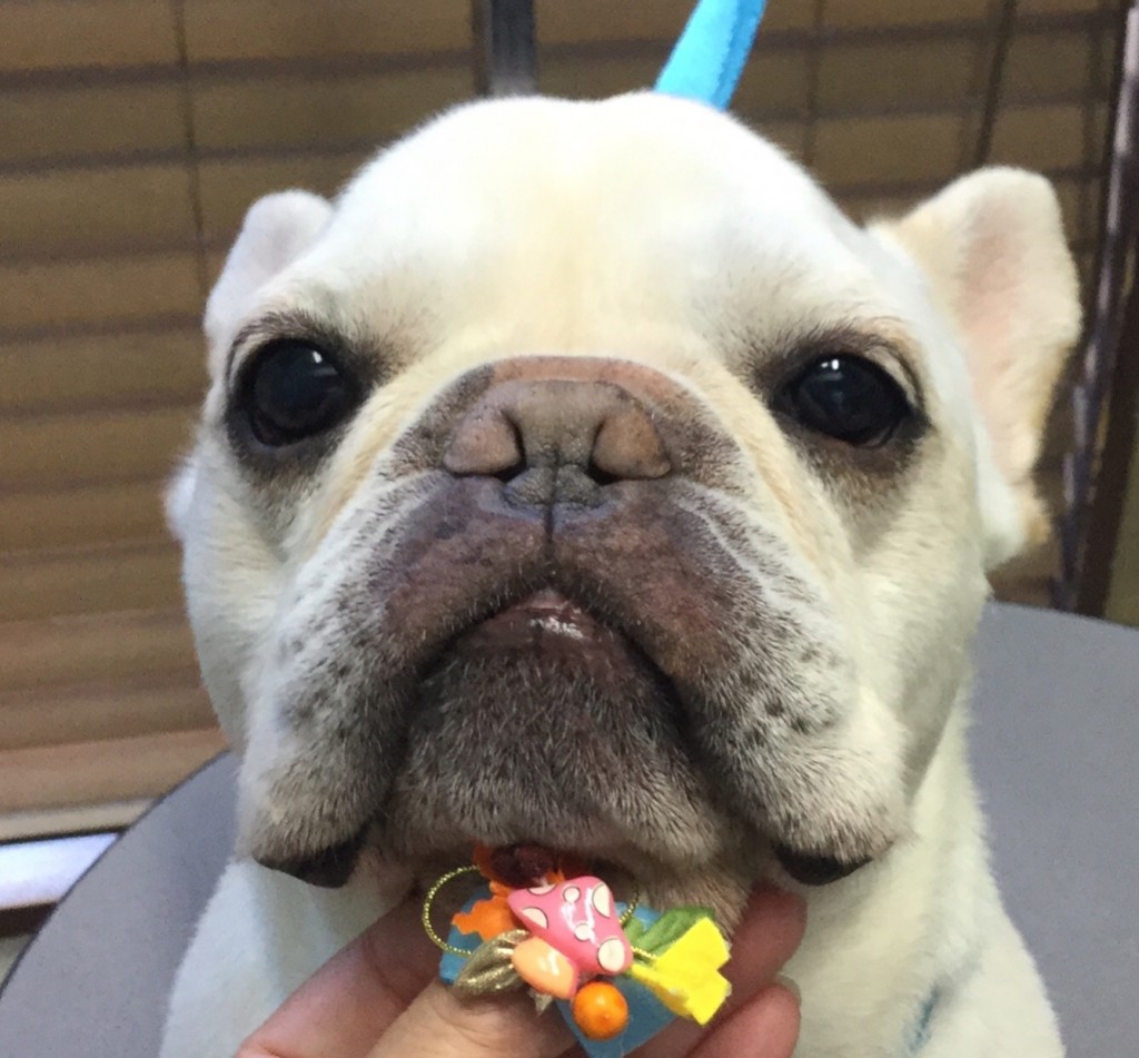 EAA38AB4-A7EF-4797-B569-E09850B039E4