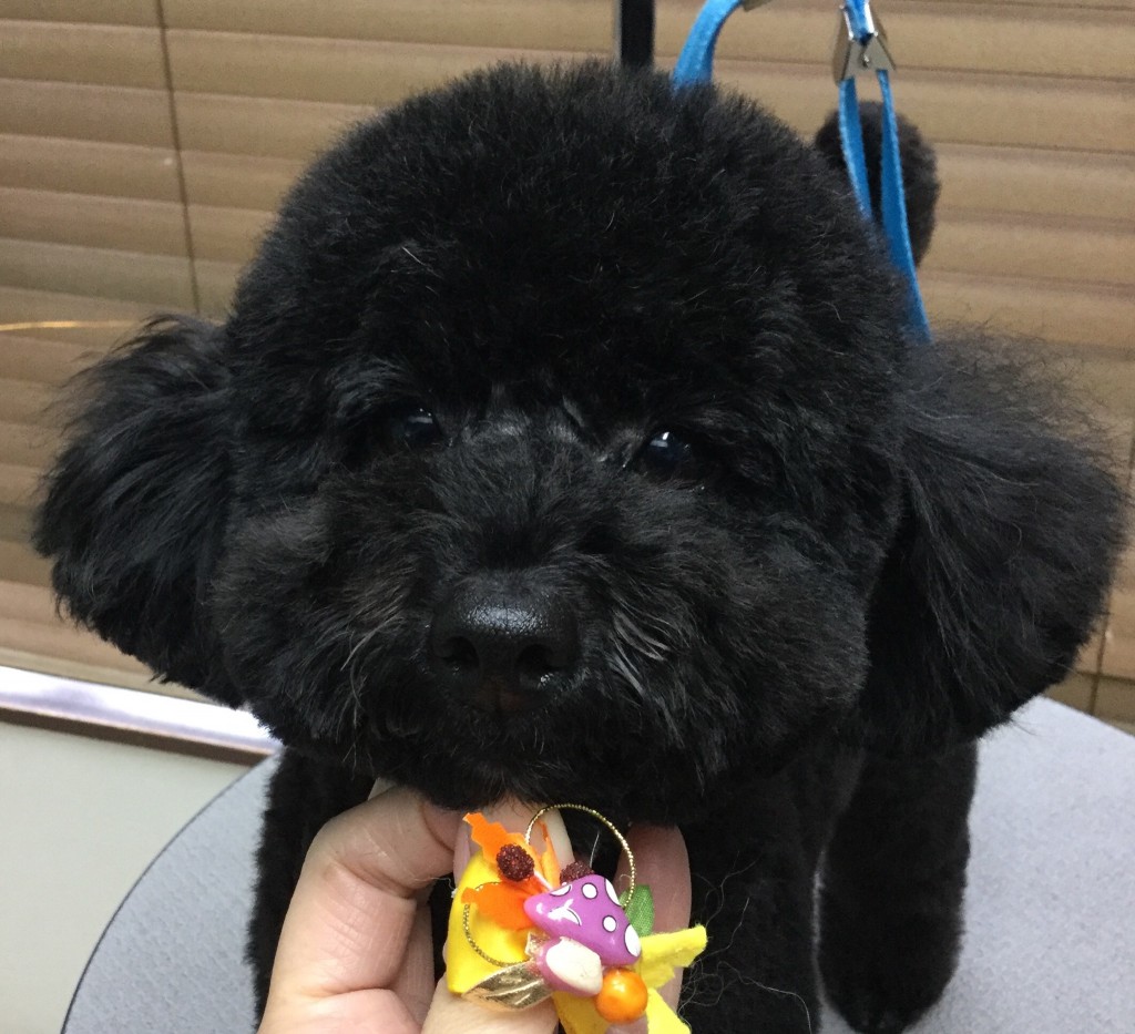 EB2088B2-8306-4EFE-B782-BB1D875BAE65