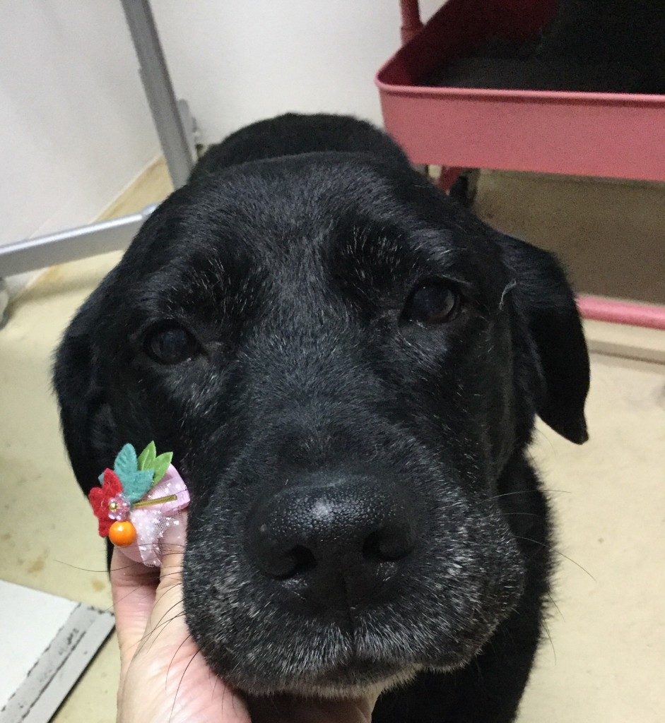 EE33C43E-32F8-4D68-8A0B-45084A02B7E0