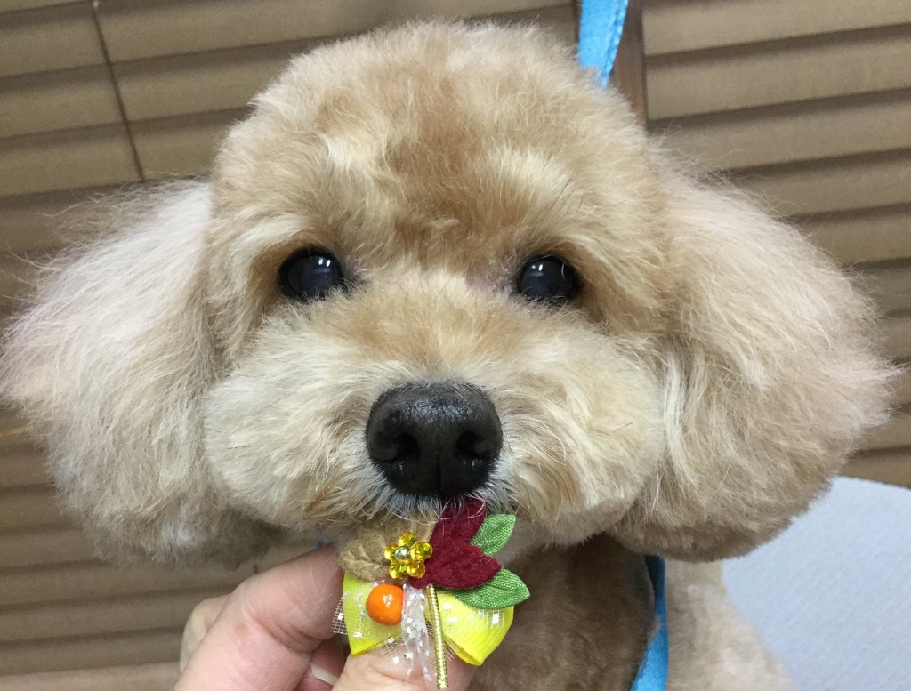 EE77BD7C-7A61-45CA-8A02-E6760A6C8E79