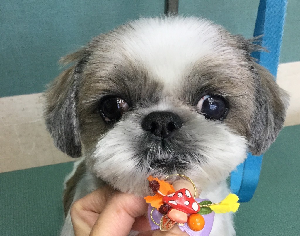 EF3E1646-2127-437B-AC7E-8925EE3D4A20