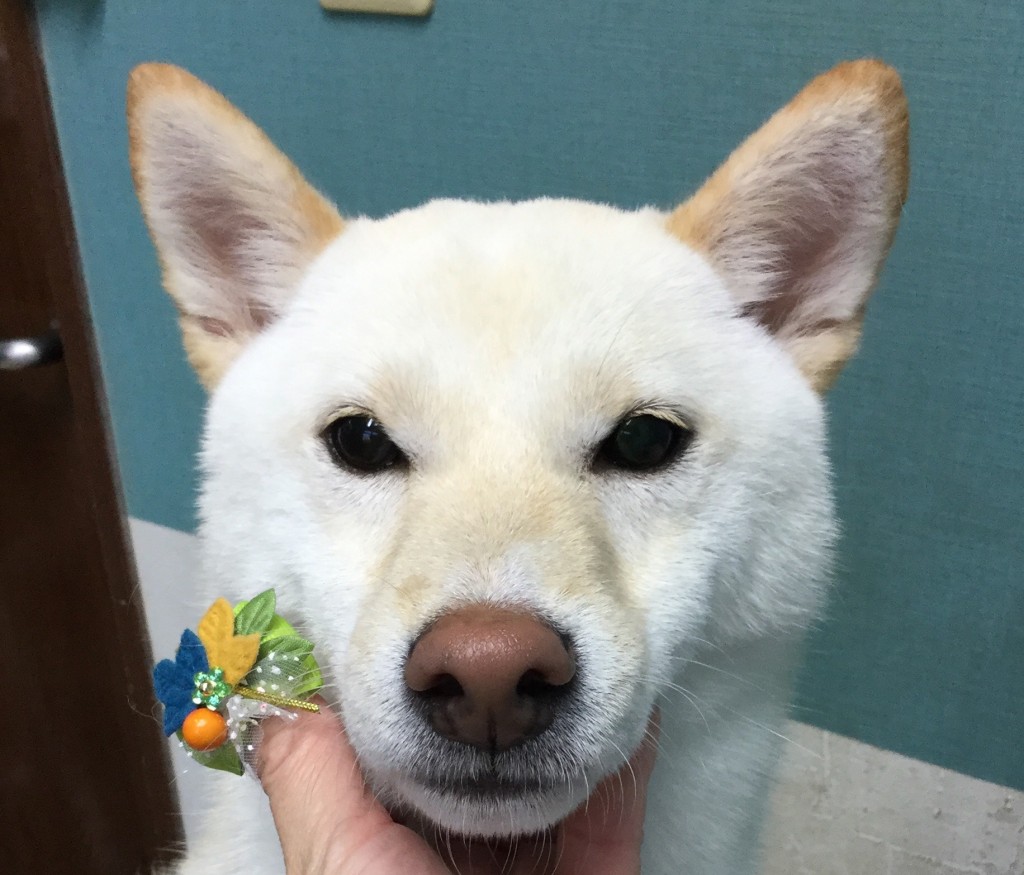 F4D314D9-16BA-49FA-95EF-4640554C48E8