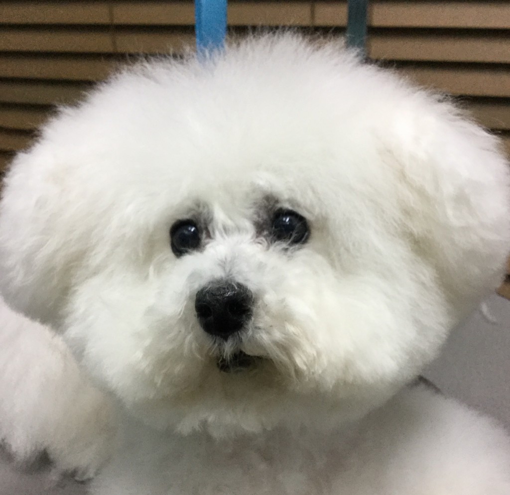 F7A1E52C-E711-48F2-BF9A-249ADF53EFDE