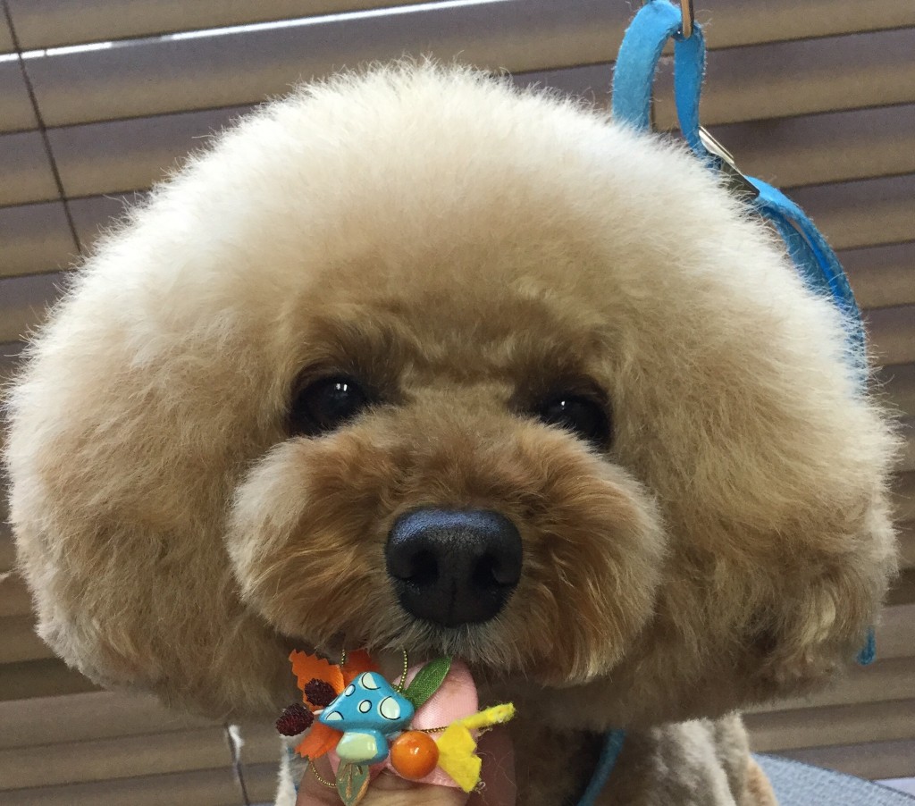 F8C690CB-1104-471E-A701-59A73EDFE817