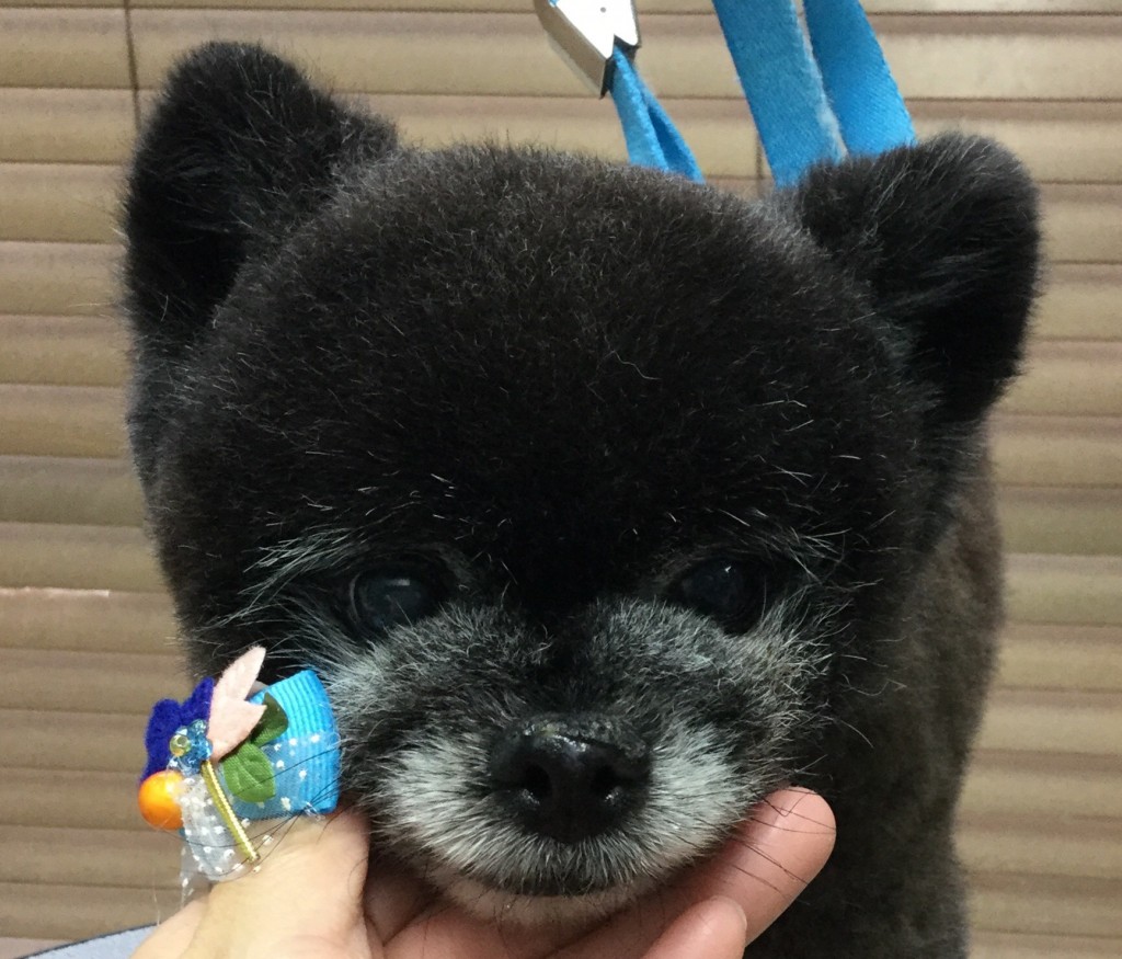 FB0D697C-CC36-41AB-8398-F224591AD0B7